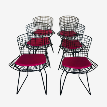 Suite of 6 chairs by Harry Bertoia for Knoll