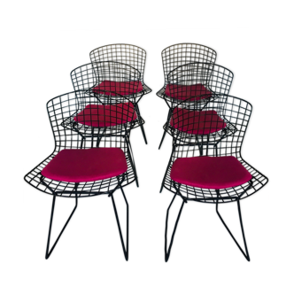 Suite of 6 chairs by Harry Bertoia for Knoll