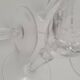Champagne flutes
