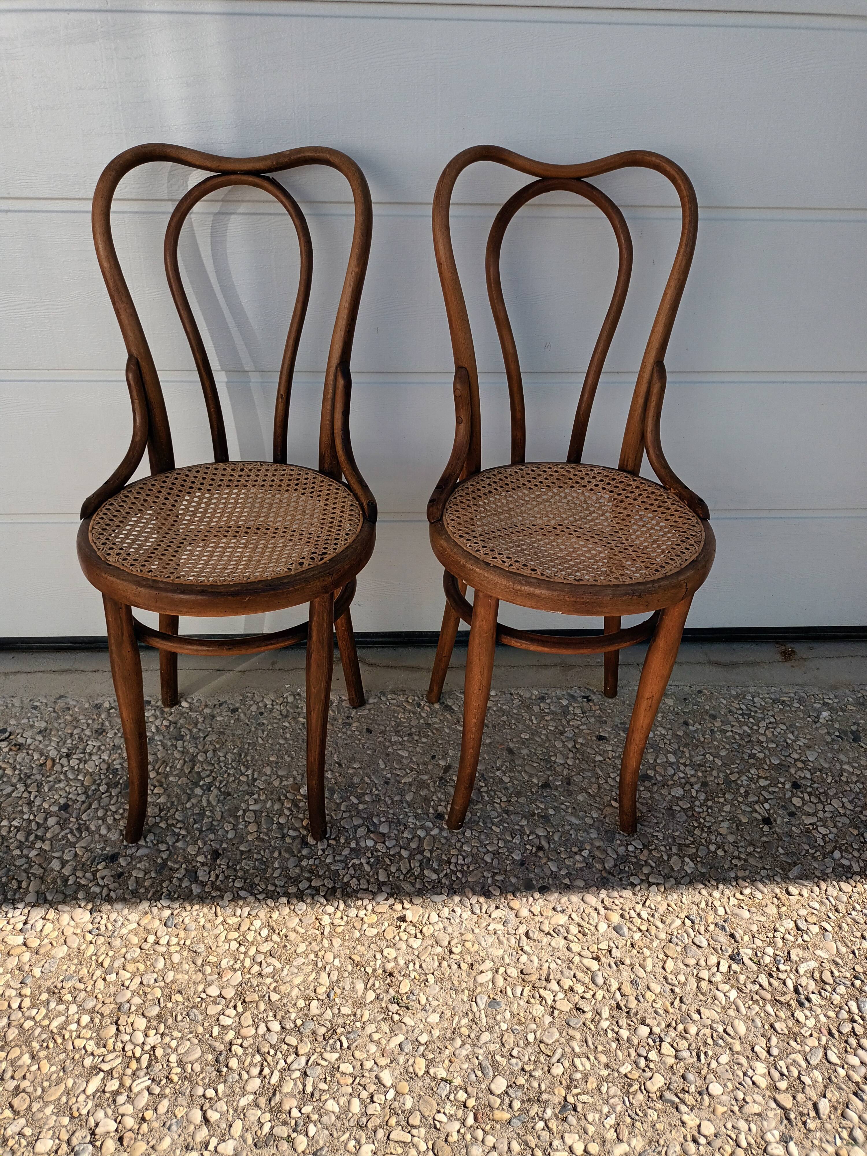 Chairs Thonet