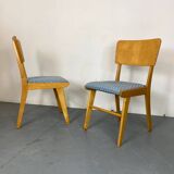 Chaises de salle à manger en hêtre modernistes du milieu du siècle, années 1950, lot de 2