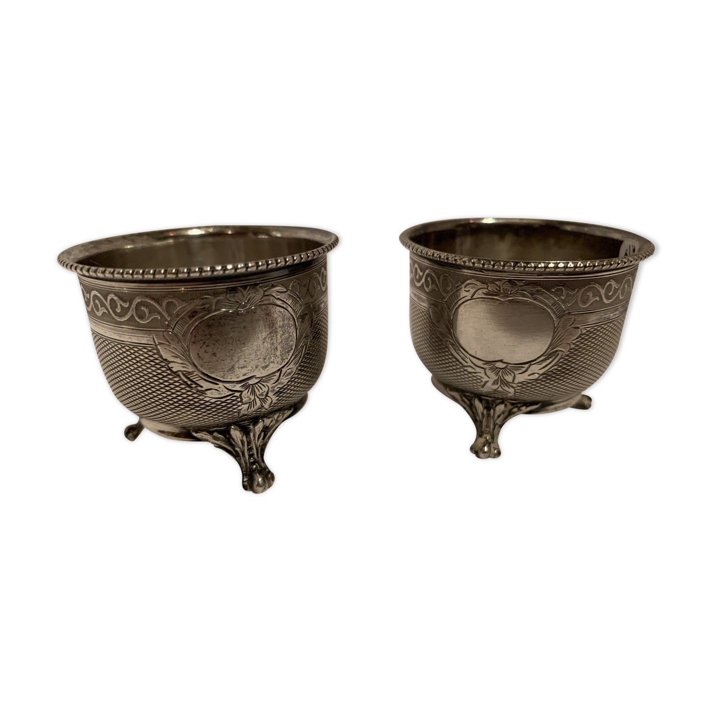 Massive silver cockroaches