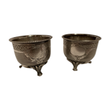 Massive silver cockroaches