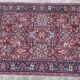 Tapis Persan Chiraz 248 cm par 170 cm