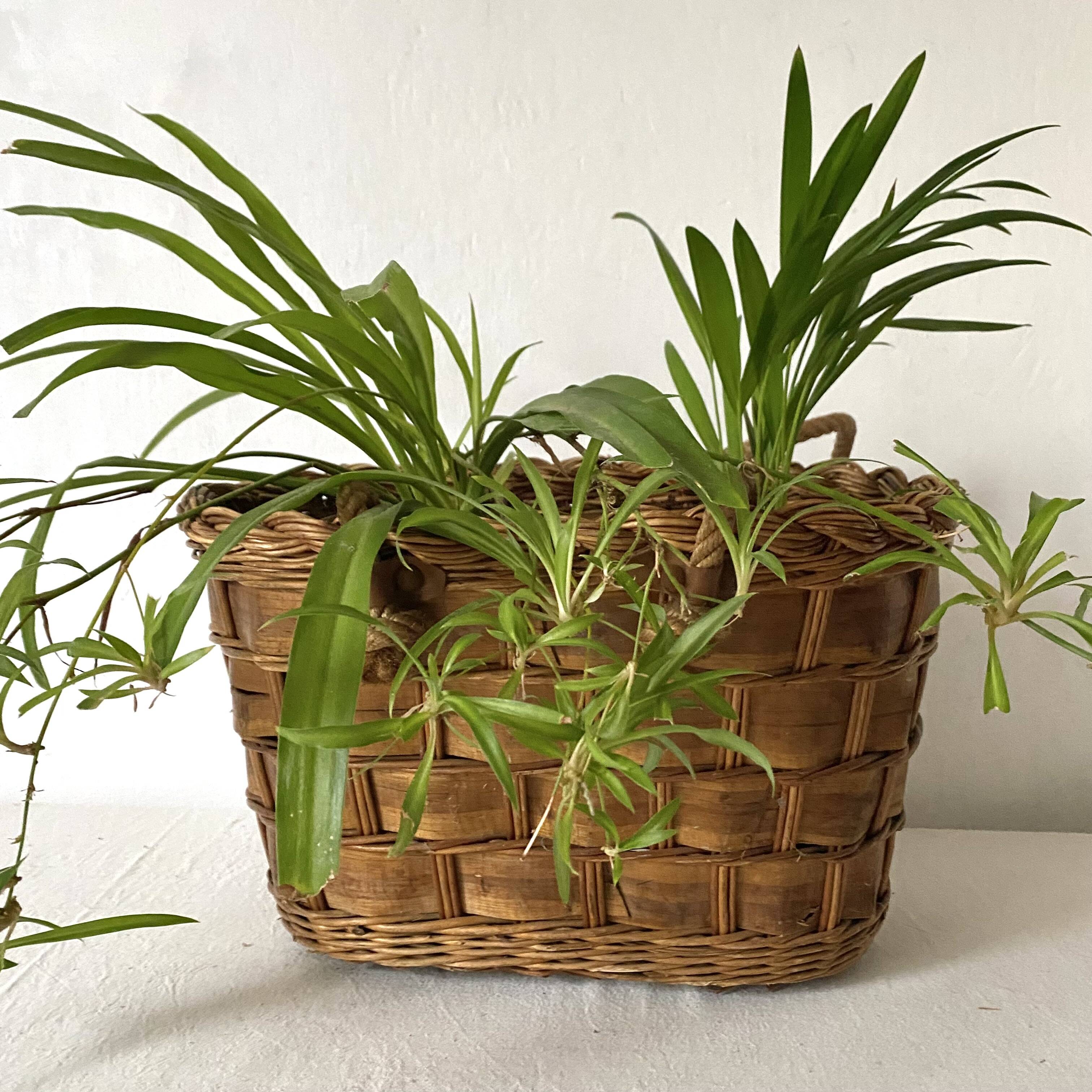 Vintage woven basket