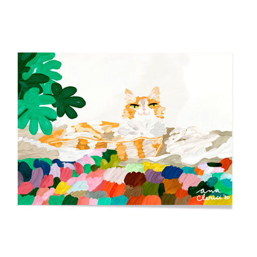 Chat orange