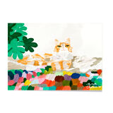 Orange cat