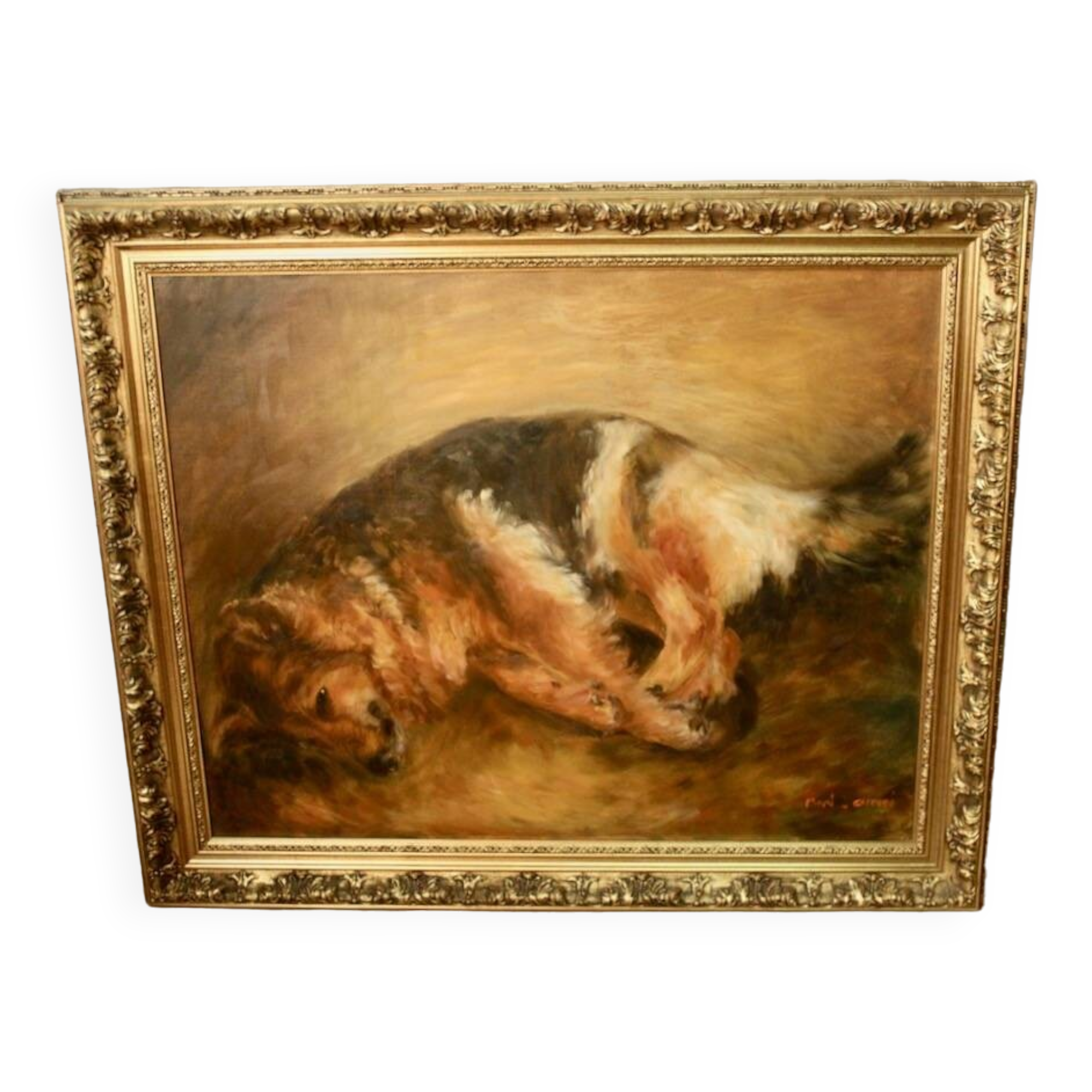 Oil on canvas "Dog resting" framed and signed