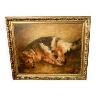 Oil on canvas "Dog resting" framed and signed