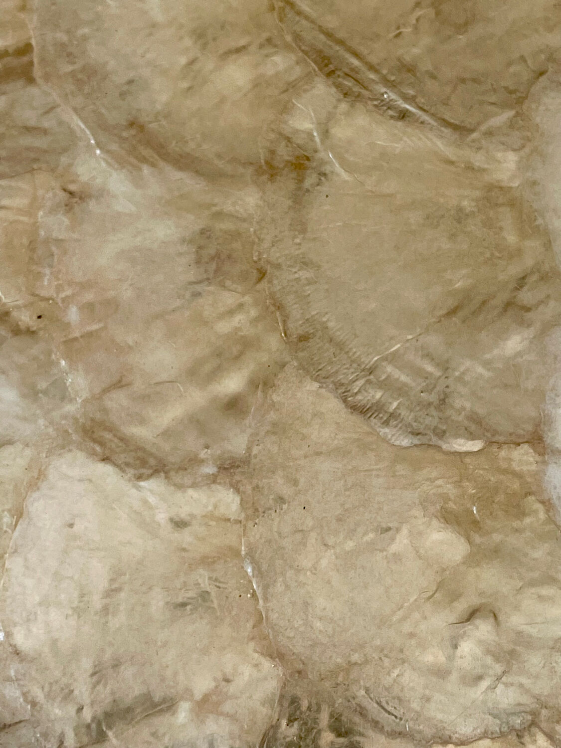 Vintage mother-of-pearl and rattan tray