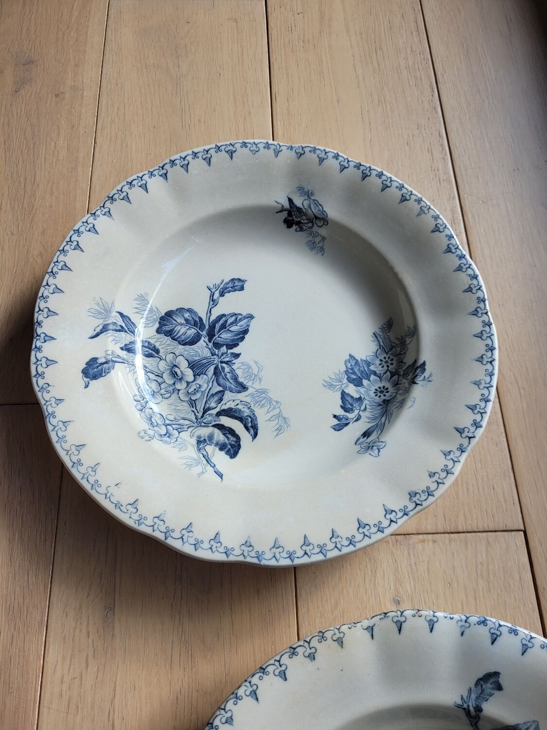 Set of 2 hollow plates Flore U&C Sarreguemines