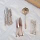 Swedish Fruit Cutlery Set with Sprinkling Spoon (21 Pieces)