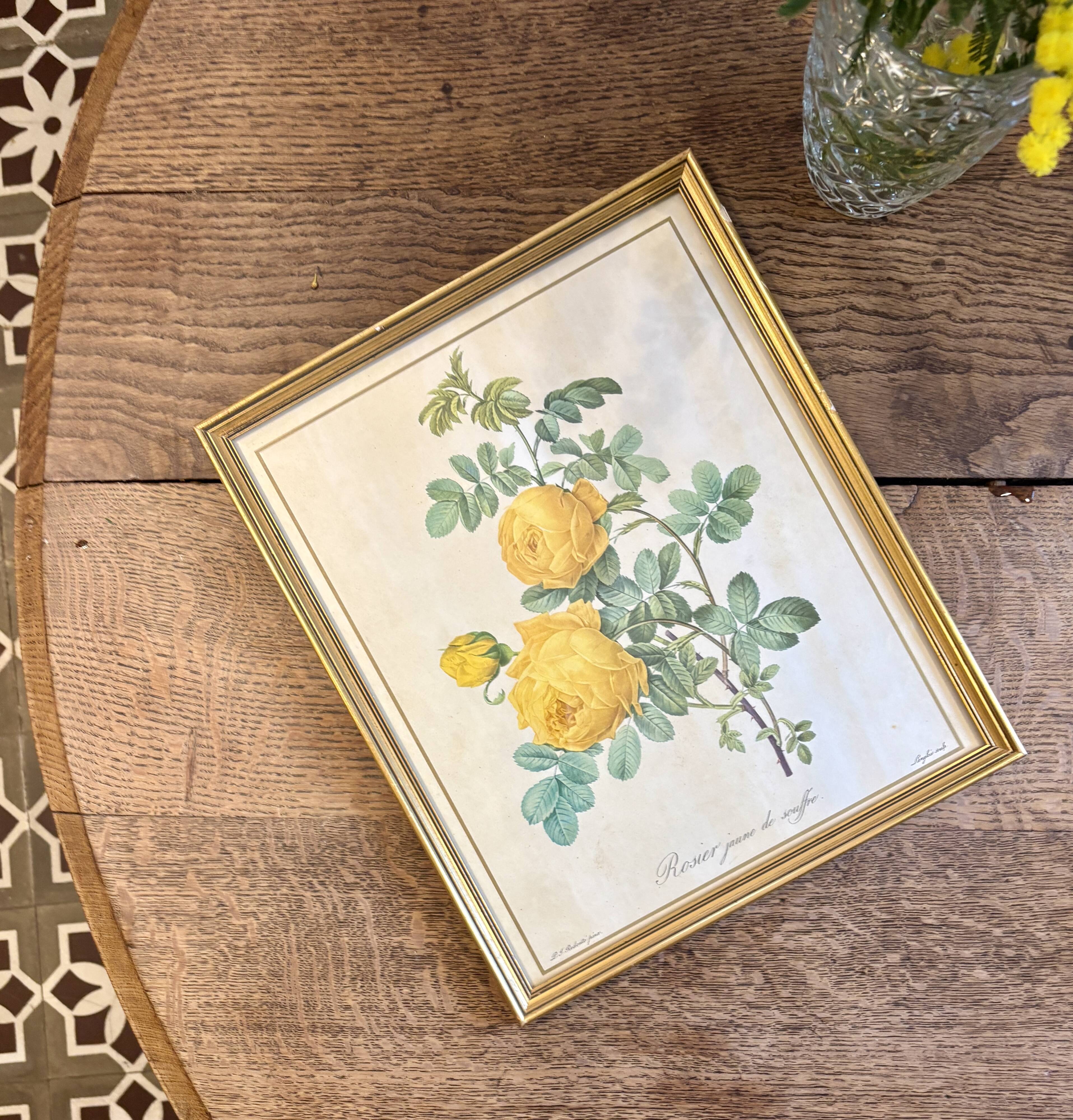 Old frame pink yellow Dreaded