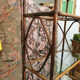 Rattan bookcase shelf - and glass - vintage