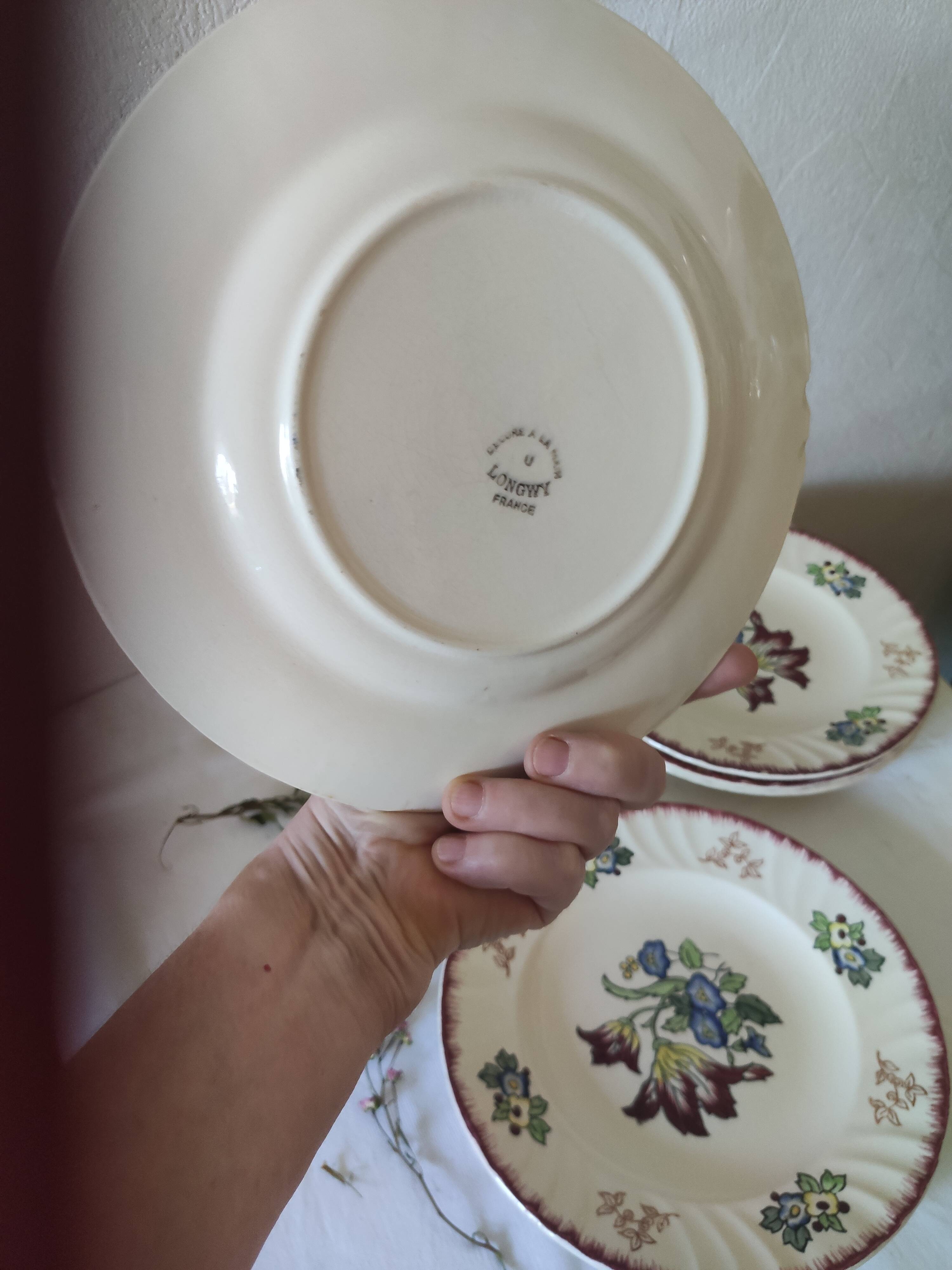 Set of 5 flat plates, signed Longwy.