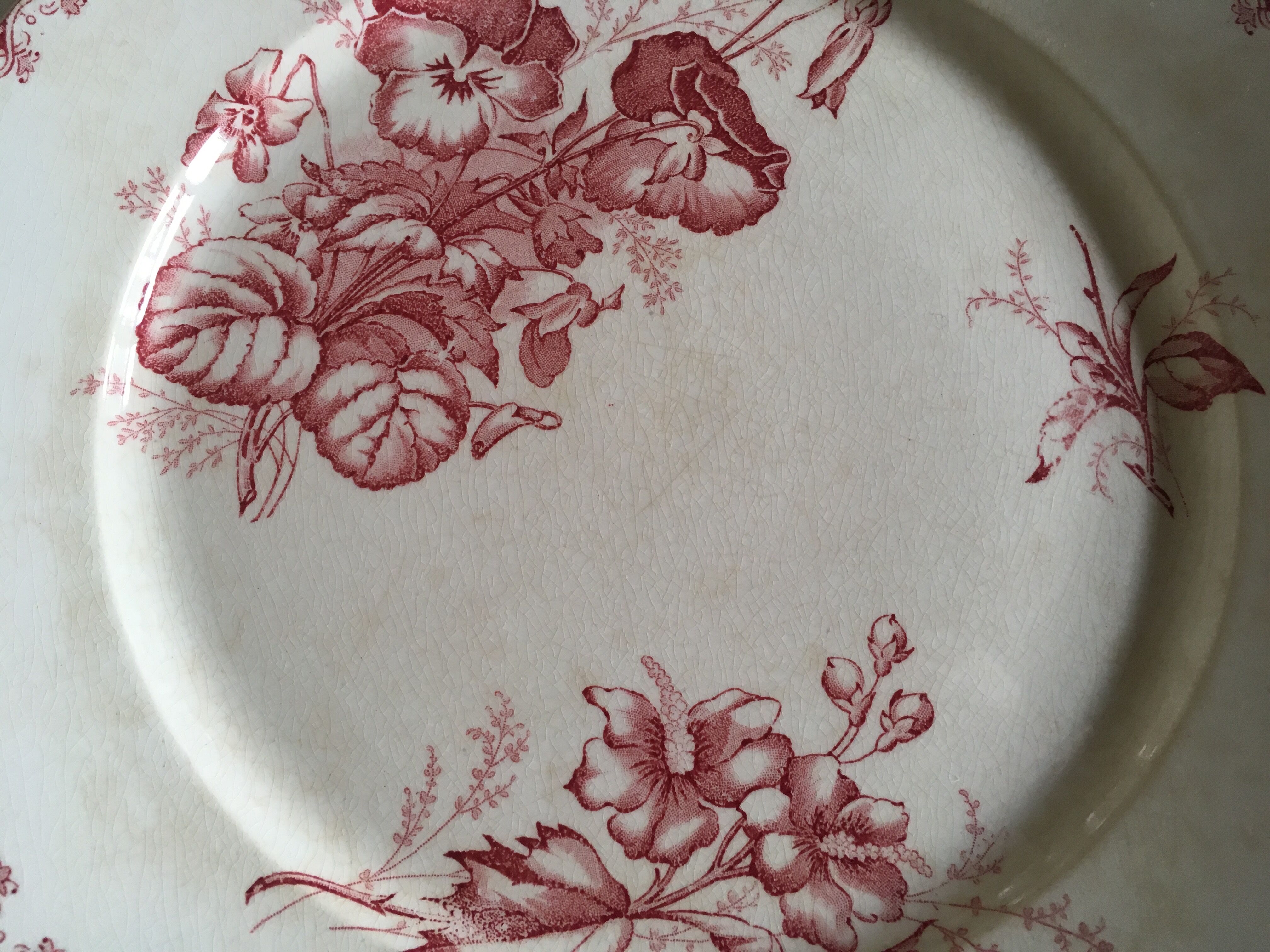 Set of 12 dinner plates of Sarreguemines land of iron décor Vega early 20th