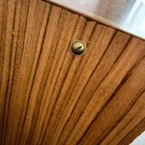 Vintage shoe cabinet/valve cabinet