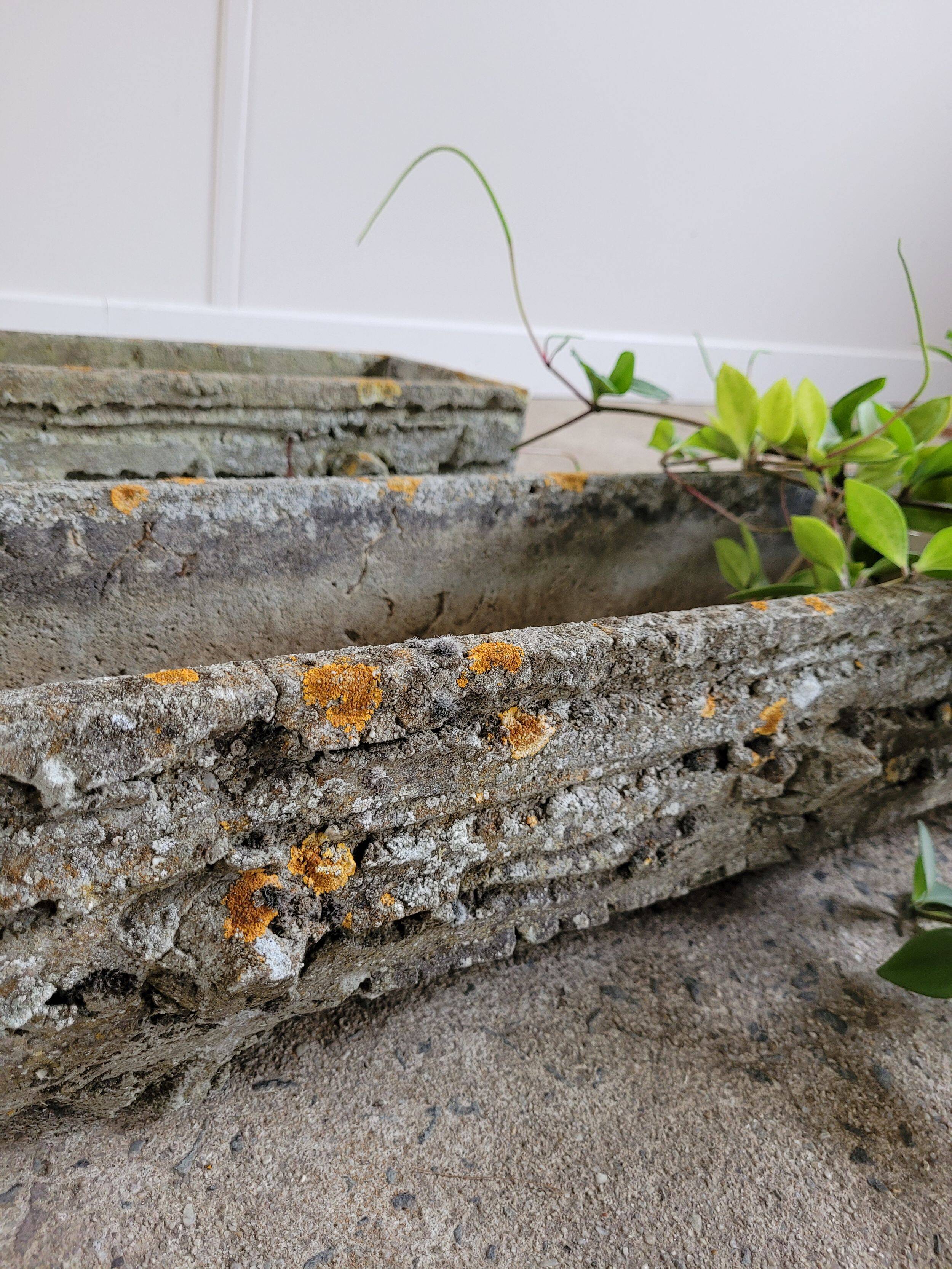Old planters in faux cement wood