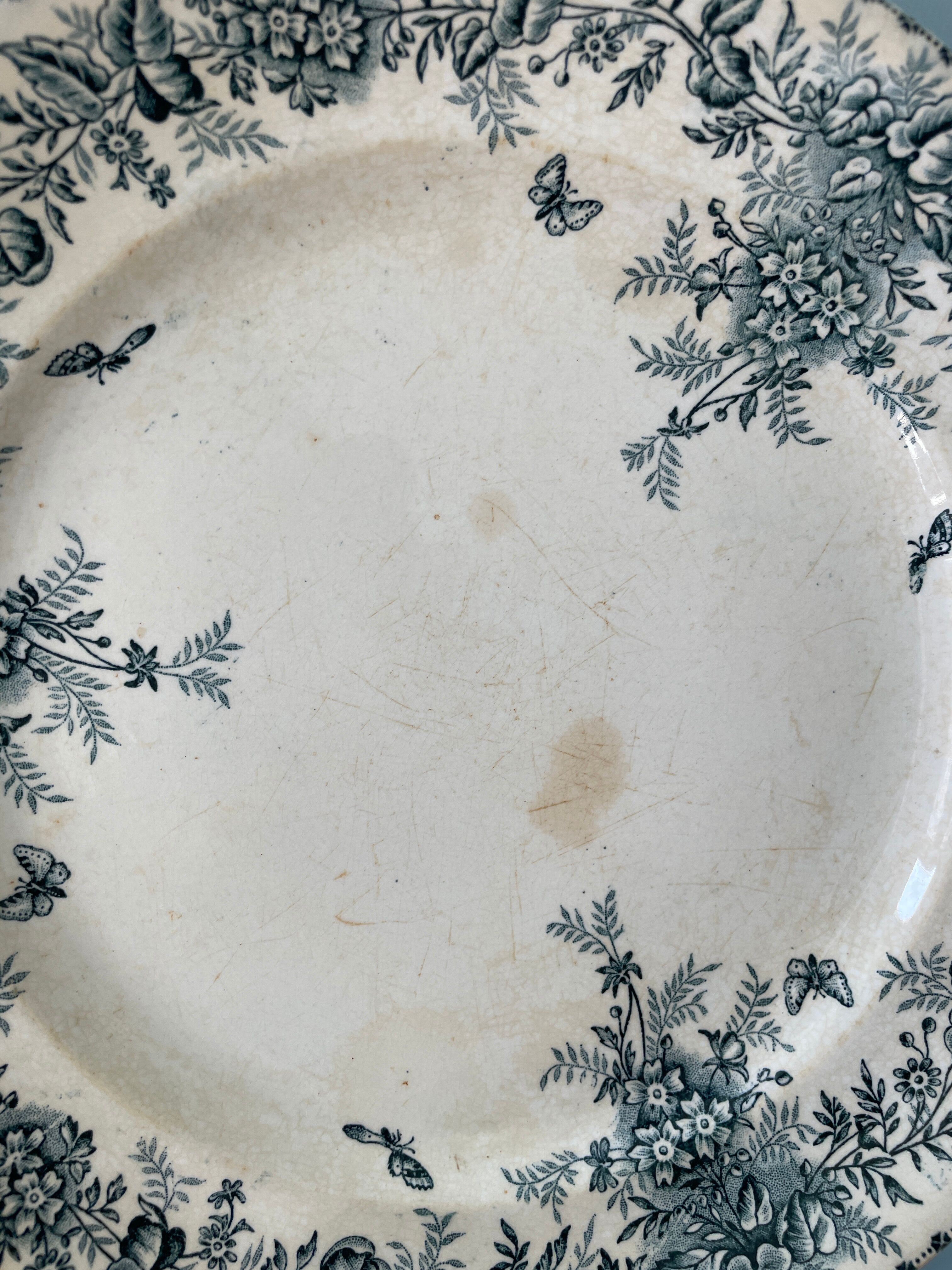 Set of 8 flat plates 19th century Terre de Fer, “Stella” Onnaing earthenware