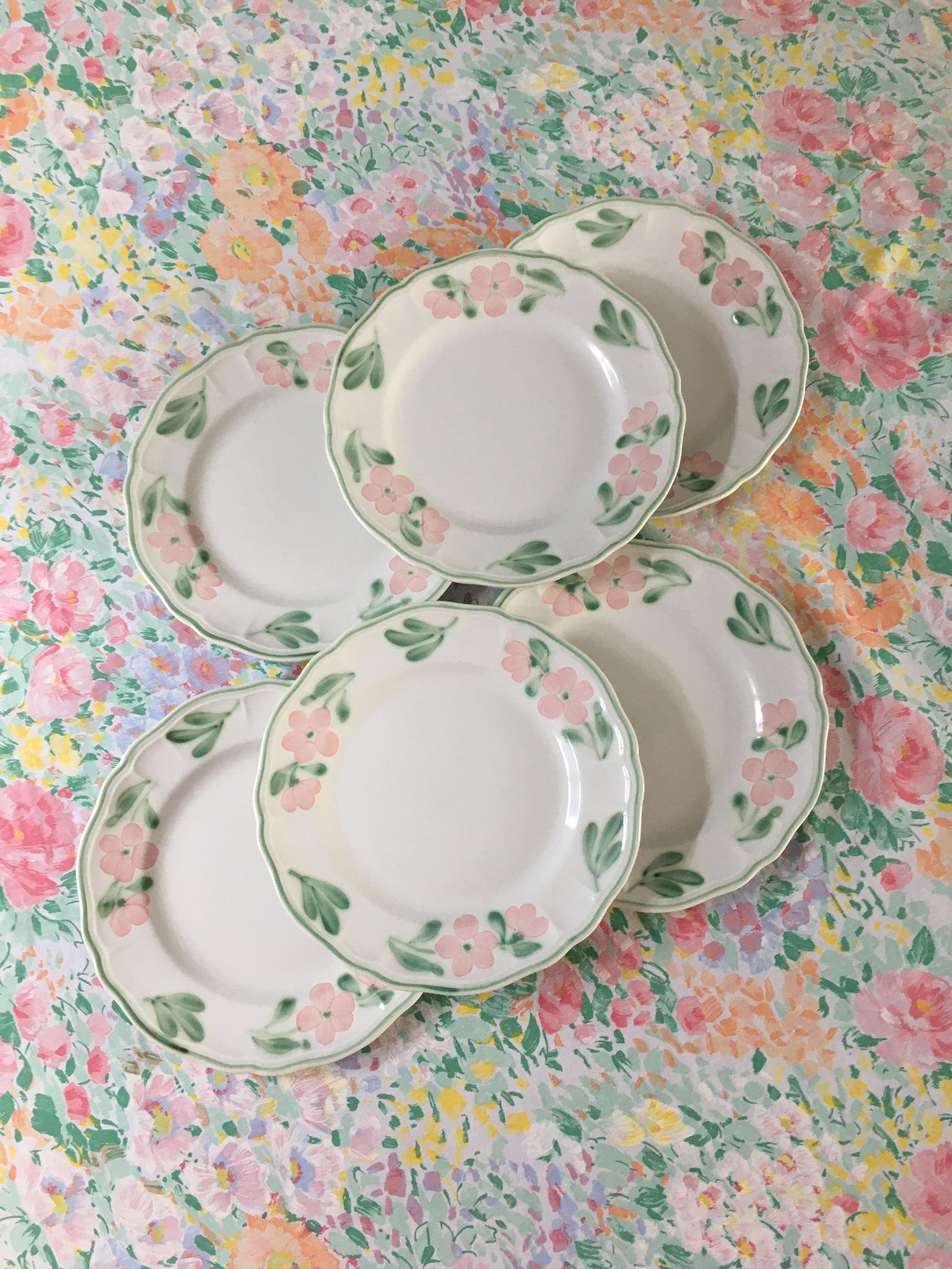 6 vintage dessert plates, Salins France