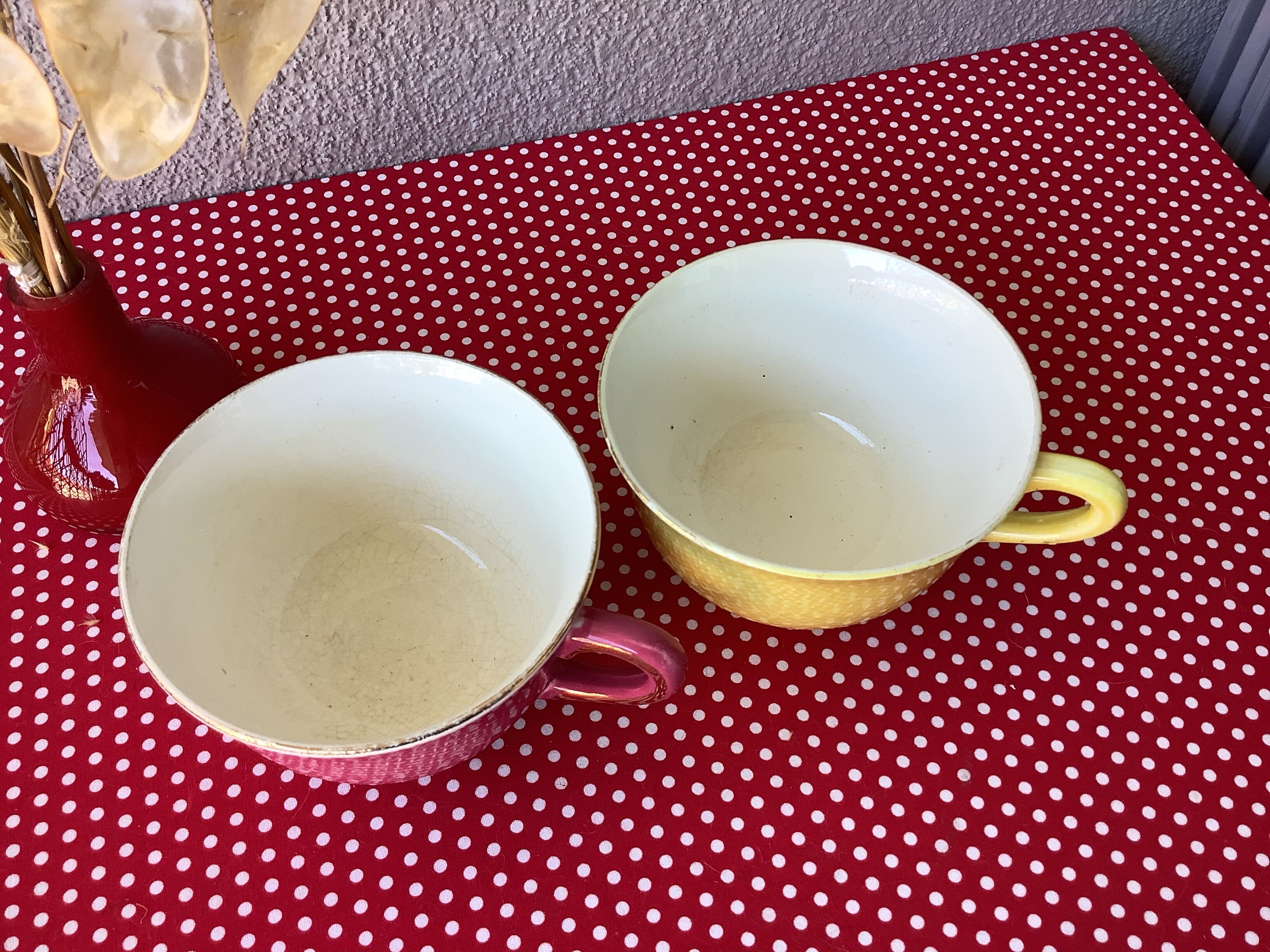 Salins France cups great model