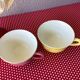 Salins France cups great model