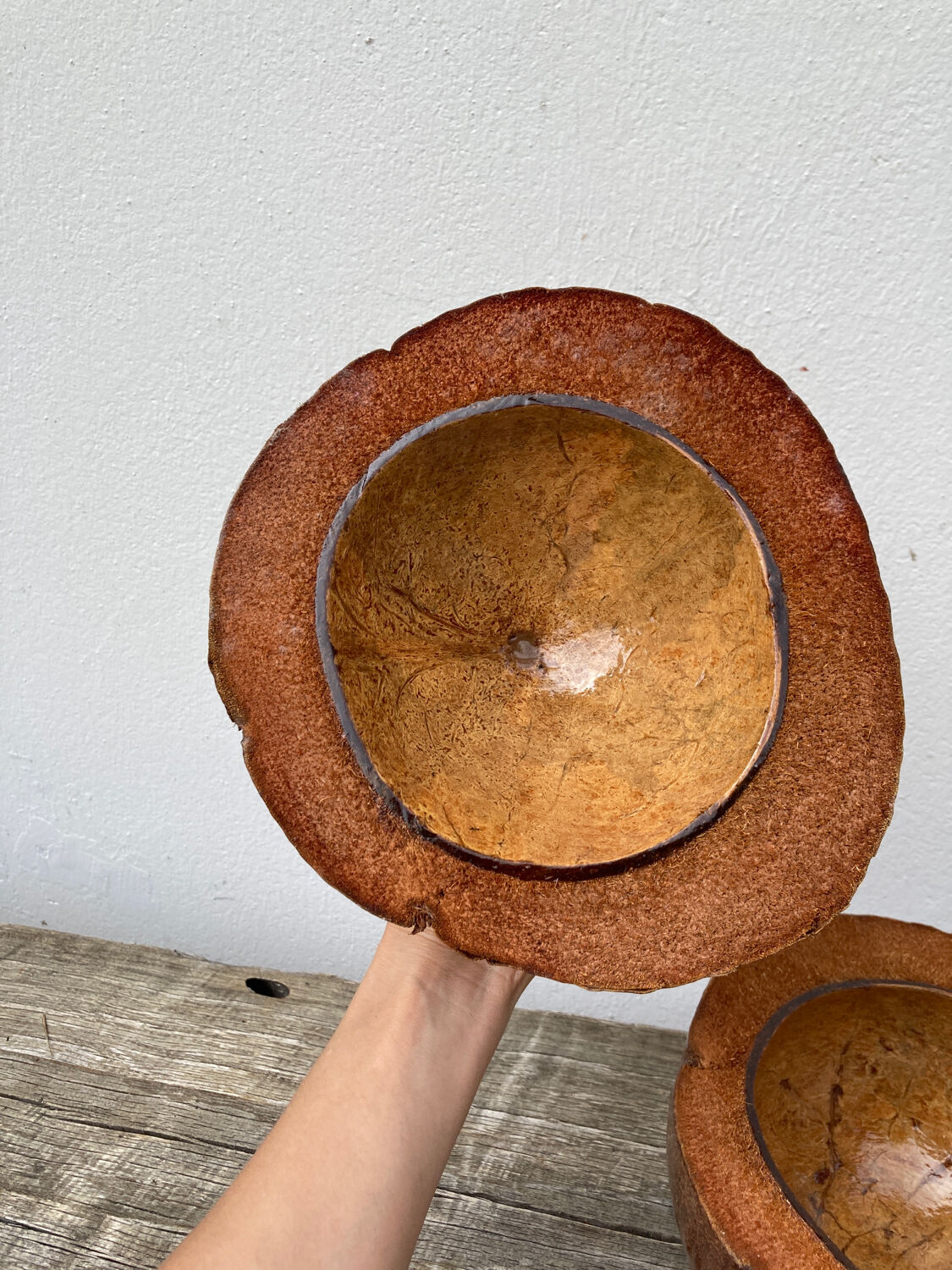 Exotic brutalist coconut ice bucket 1960