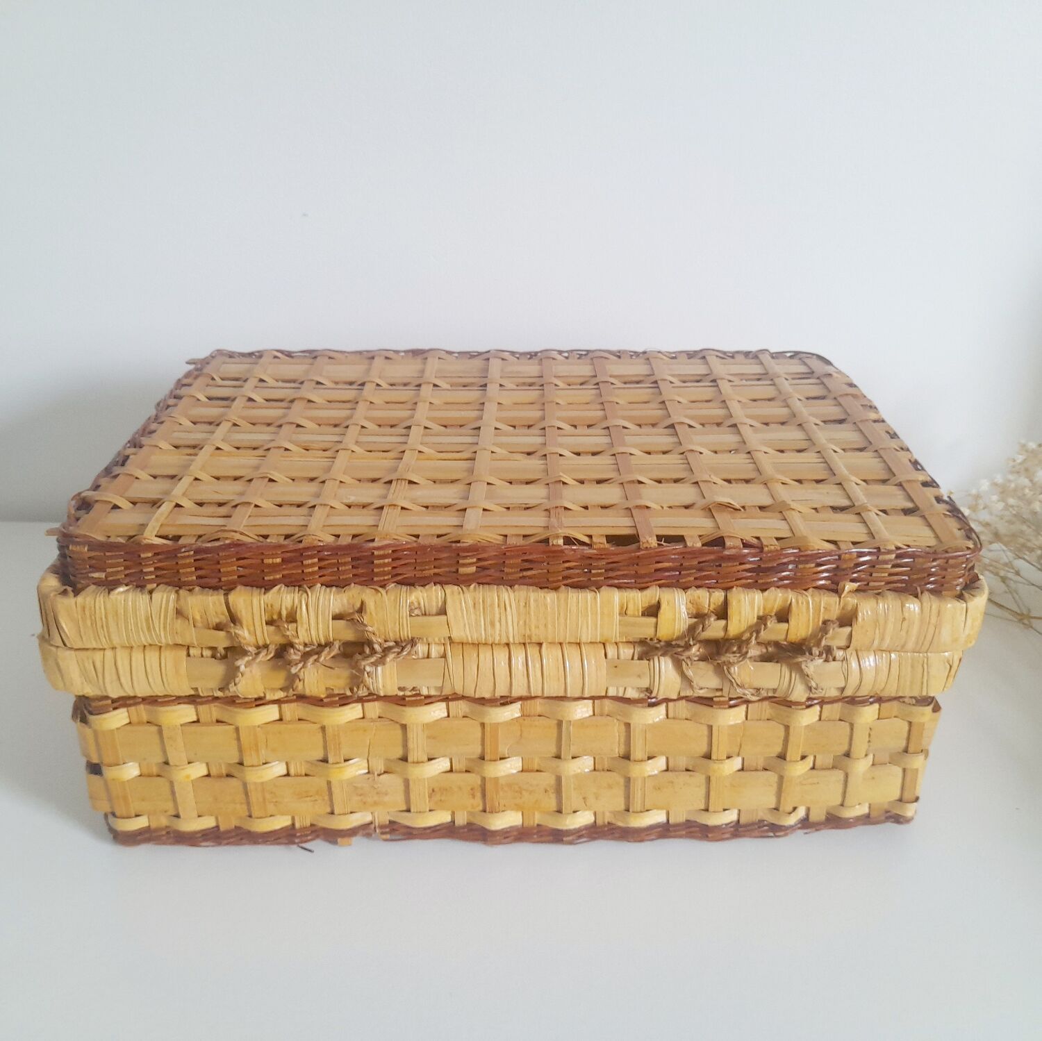 Wicker trunk