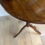 Wooden pedestal table decor flower or bedside side table