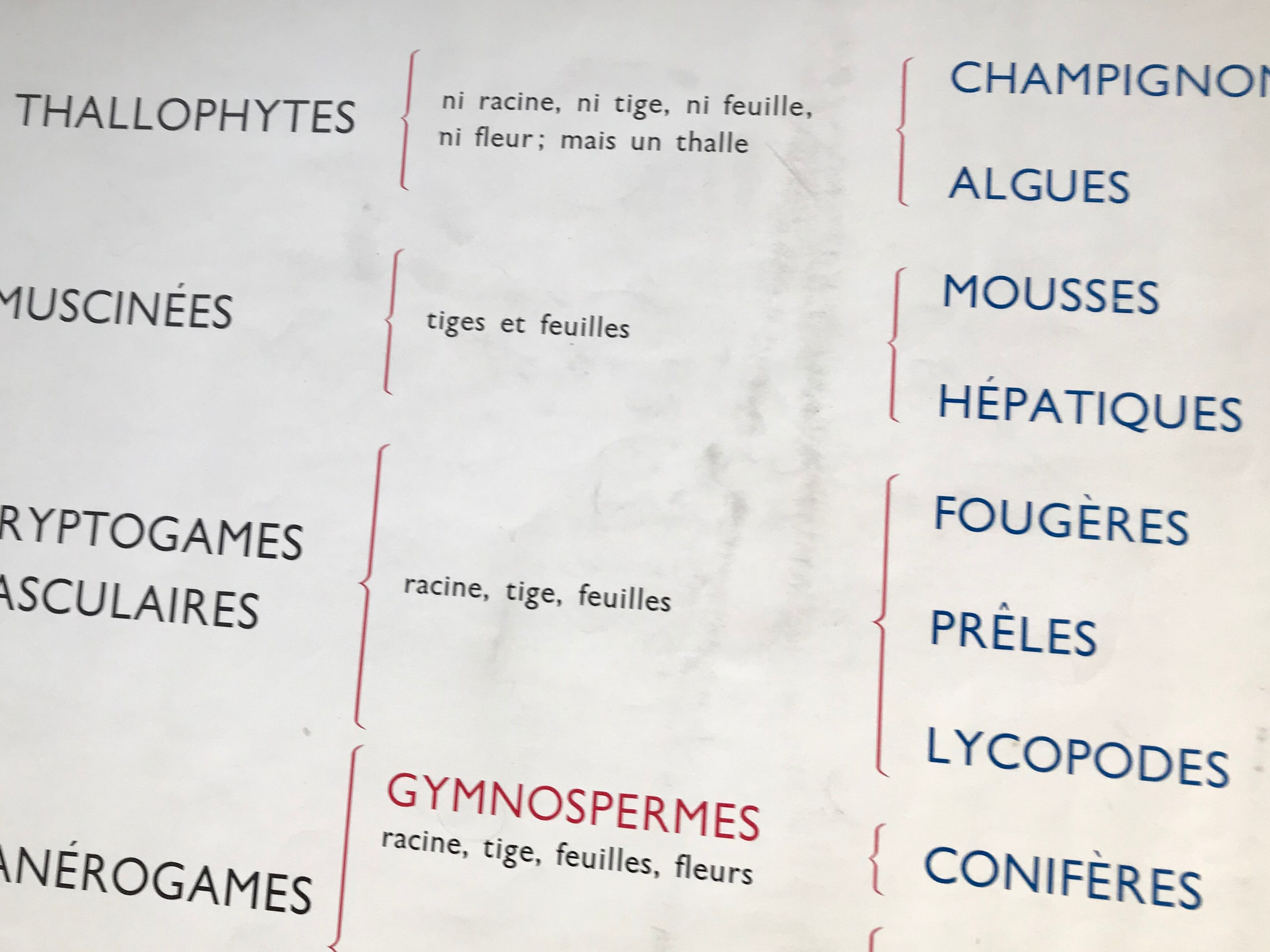 Rossignol pedagogical poster