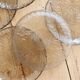 6 vintage dessert plates in smoked glass – Floral relief petal effect
