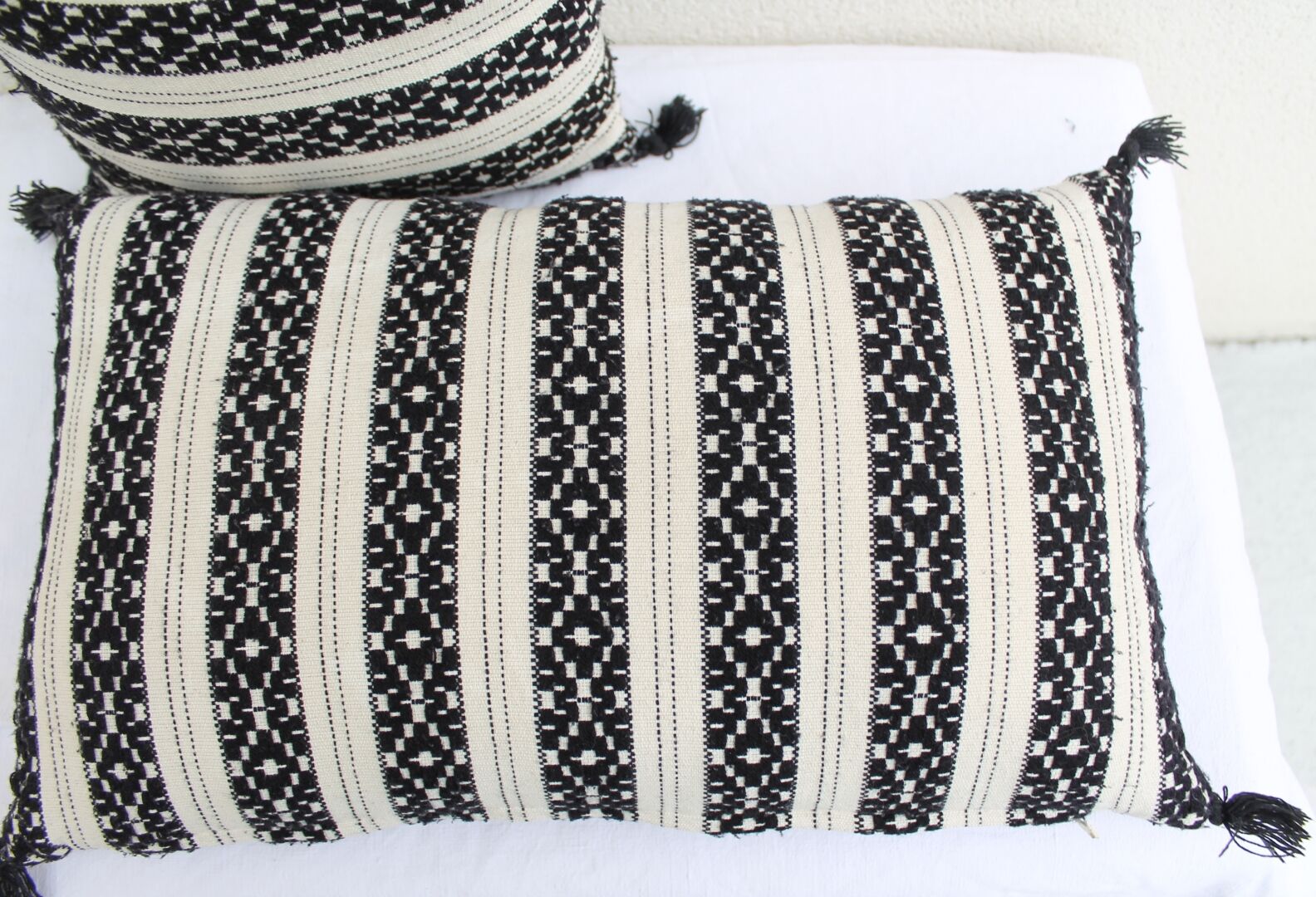 Set of 2 rectangular cushions