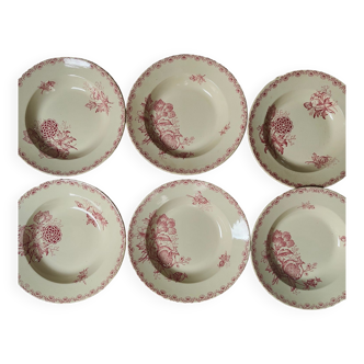6 plates in iron clay U&C Sarreguemines Digoin