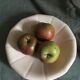 Powder pink earthenware fruit cup, Digoin Sarreguemines