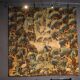 Flemish Verdure Tapestry in wool and silk. Late 17th Century.