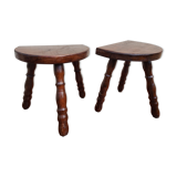 2 doors plants style arts and crafts