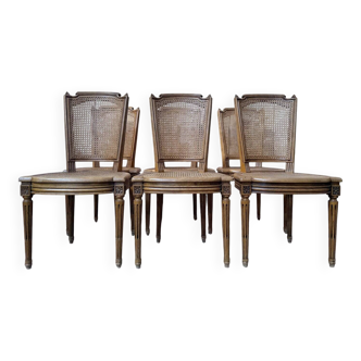 Set of 6 caned chairs in Louis XVI style