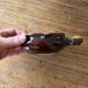 Small pan, pocket emptier - vintage Vallauris