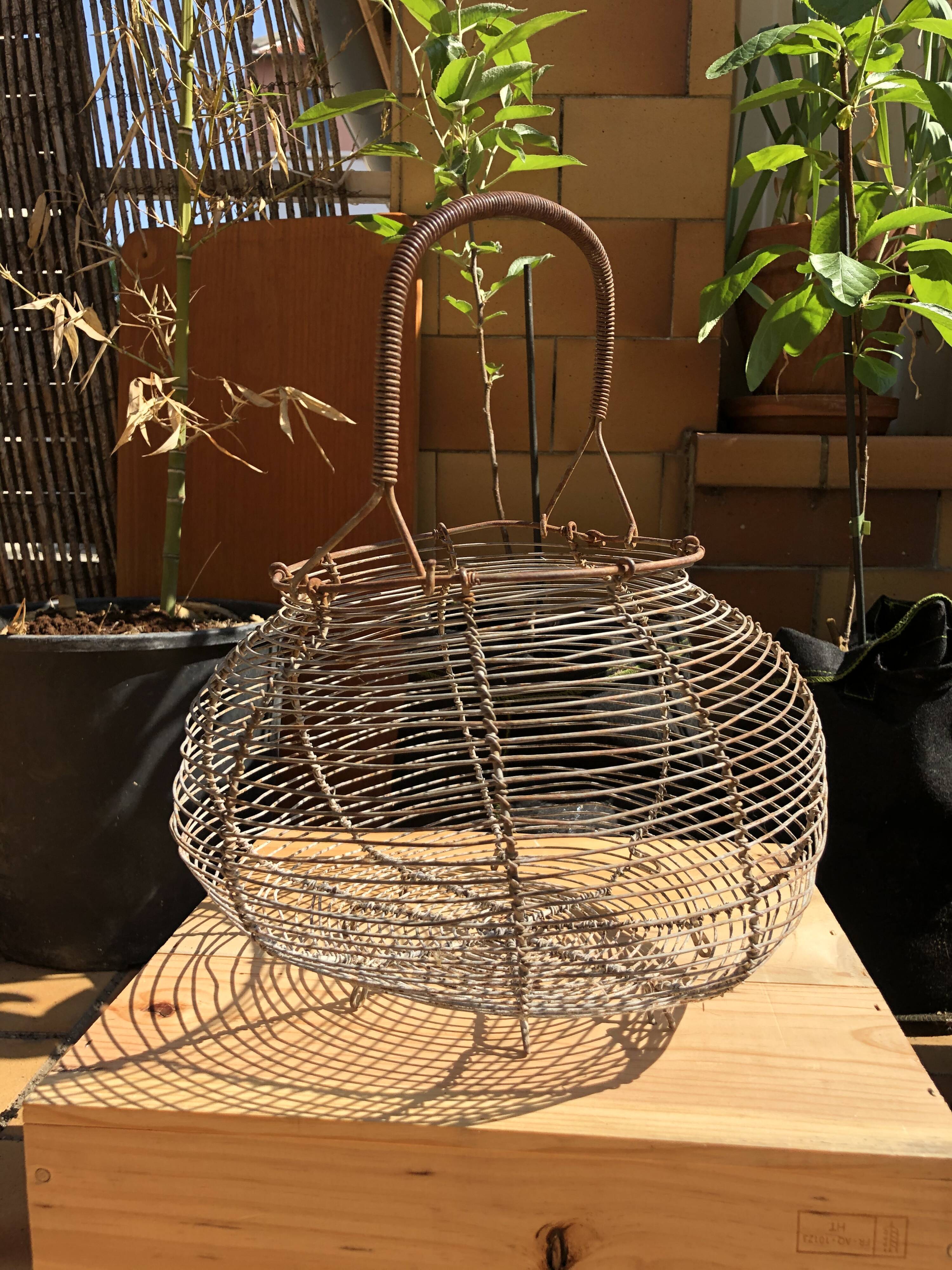Old egg basket in metal shape round metal handle
