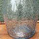 Biot blown glass bottle