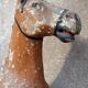 Ancien Cheval À Bascule XIXe Siècle En Bois Et Papier Mâché Peint