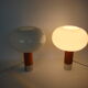Pair of Drupol lamps, 60s