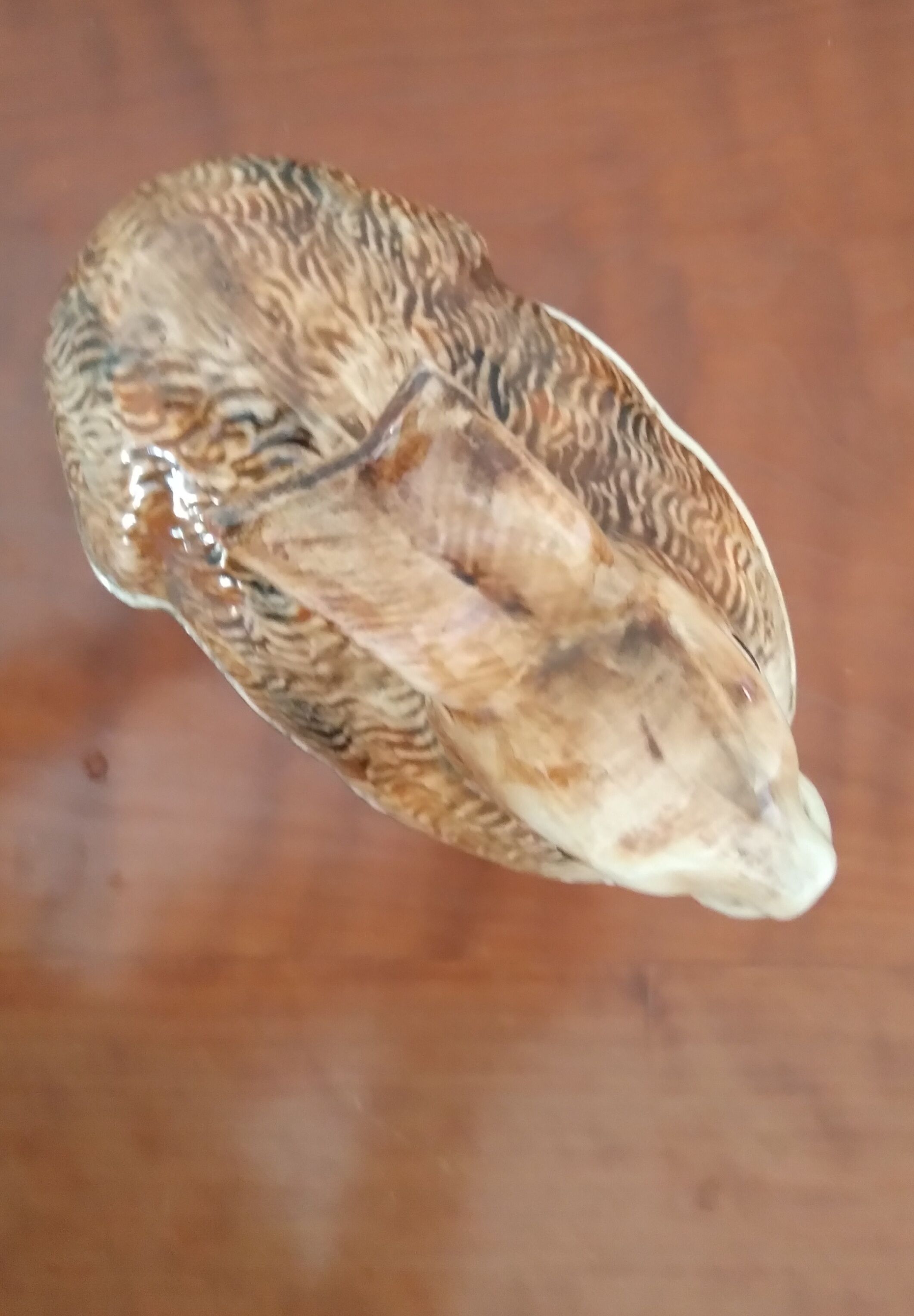 Terrine rabbit Caugant