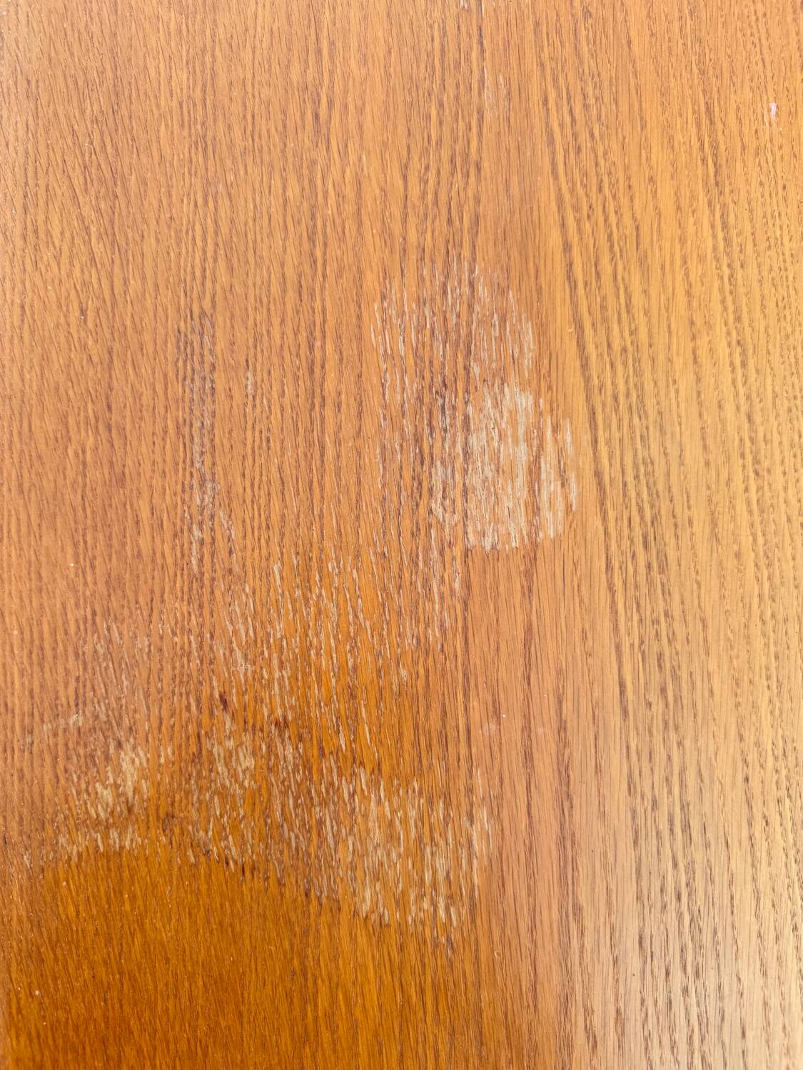 Modernist office 1960