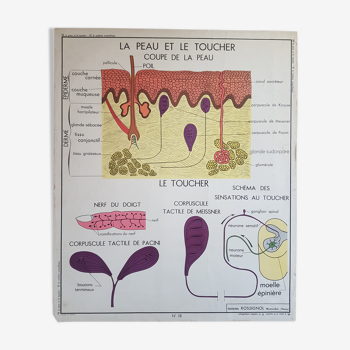 Vintage 2-sided school poster