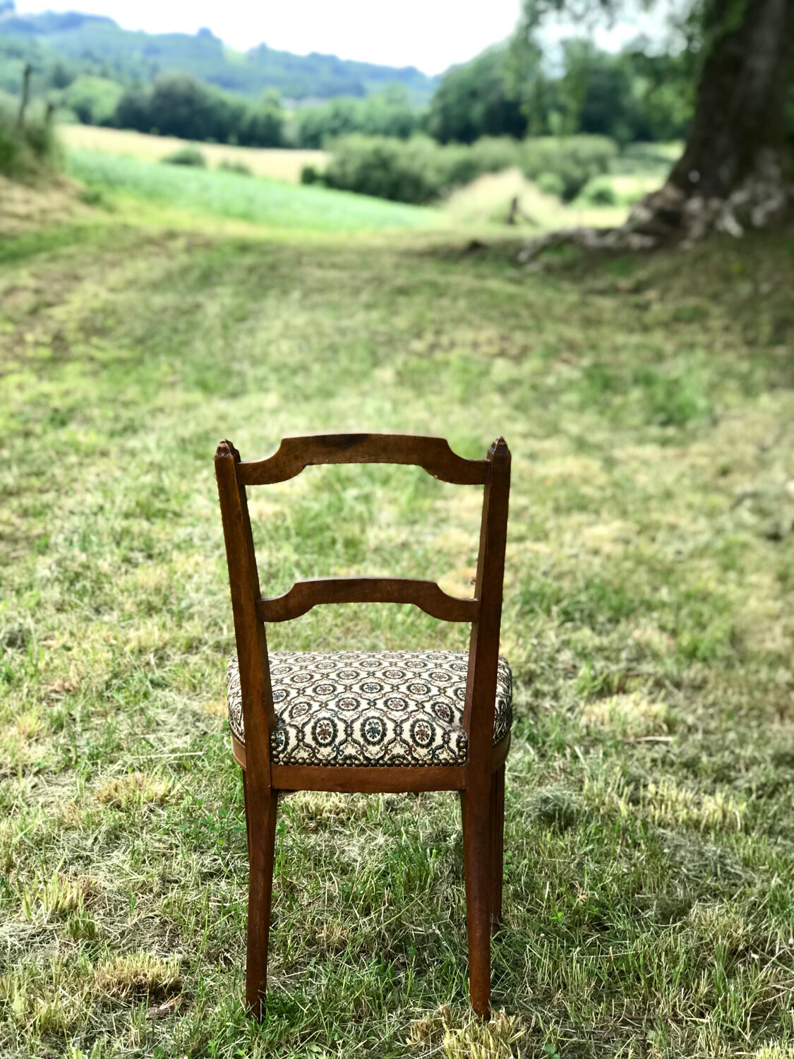 Antique chair seat upholsterer medallions