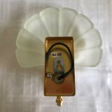 Pair of shell sconces