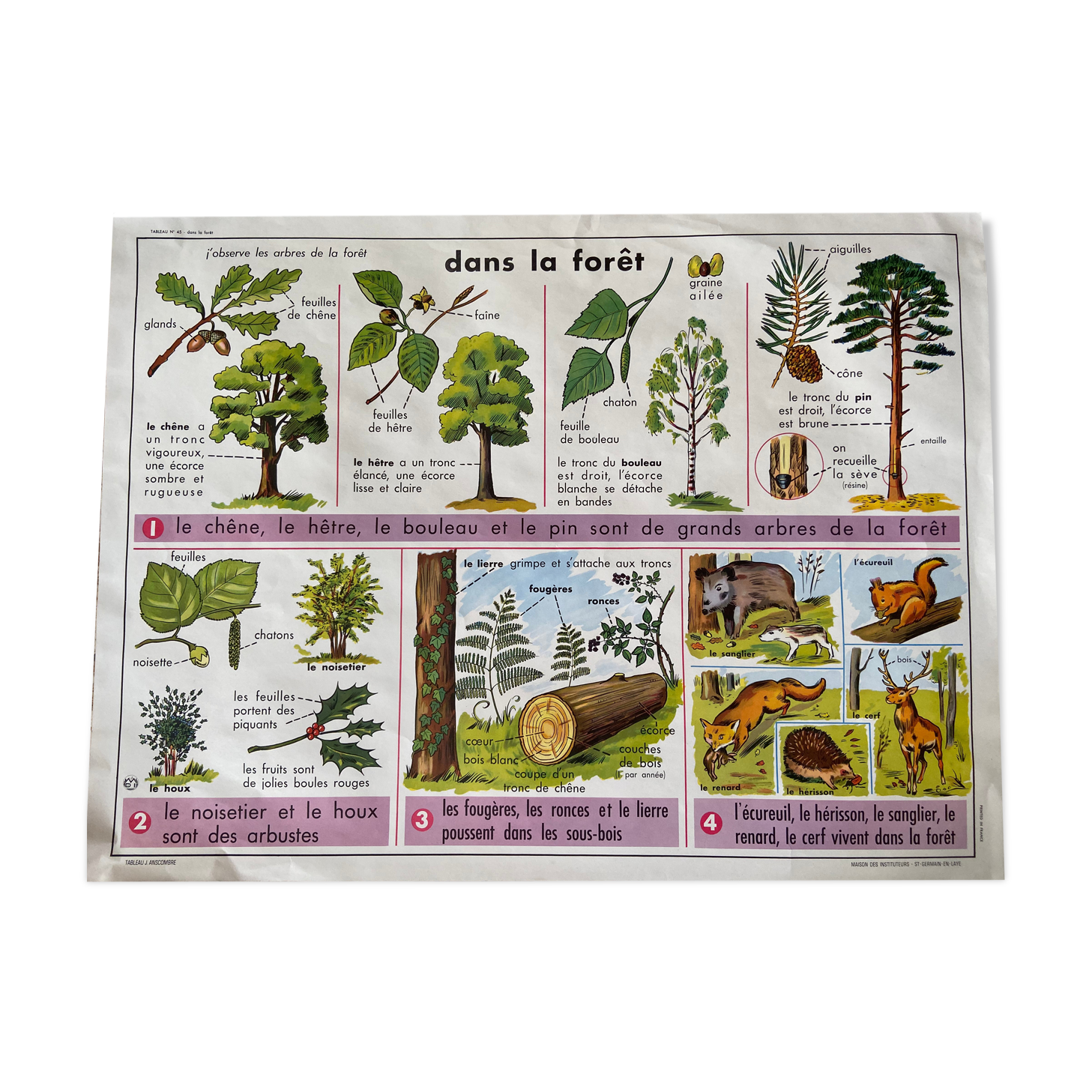 Old vintage school poster