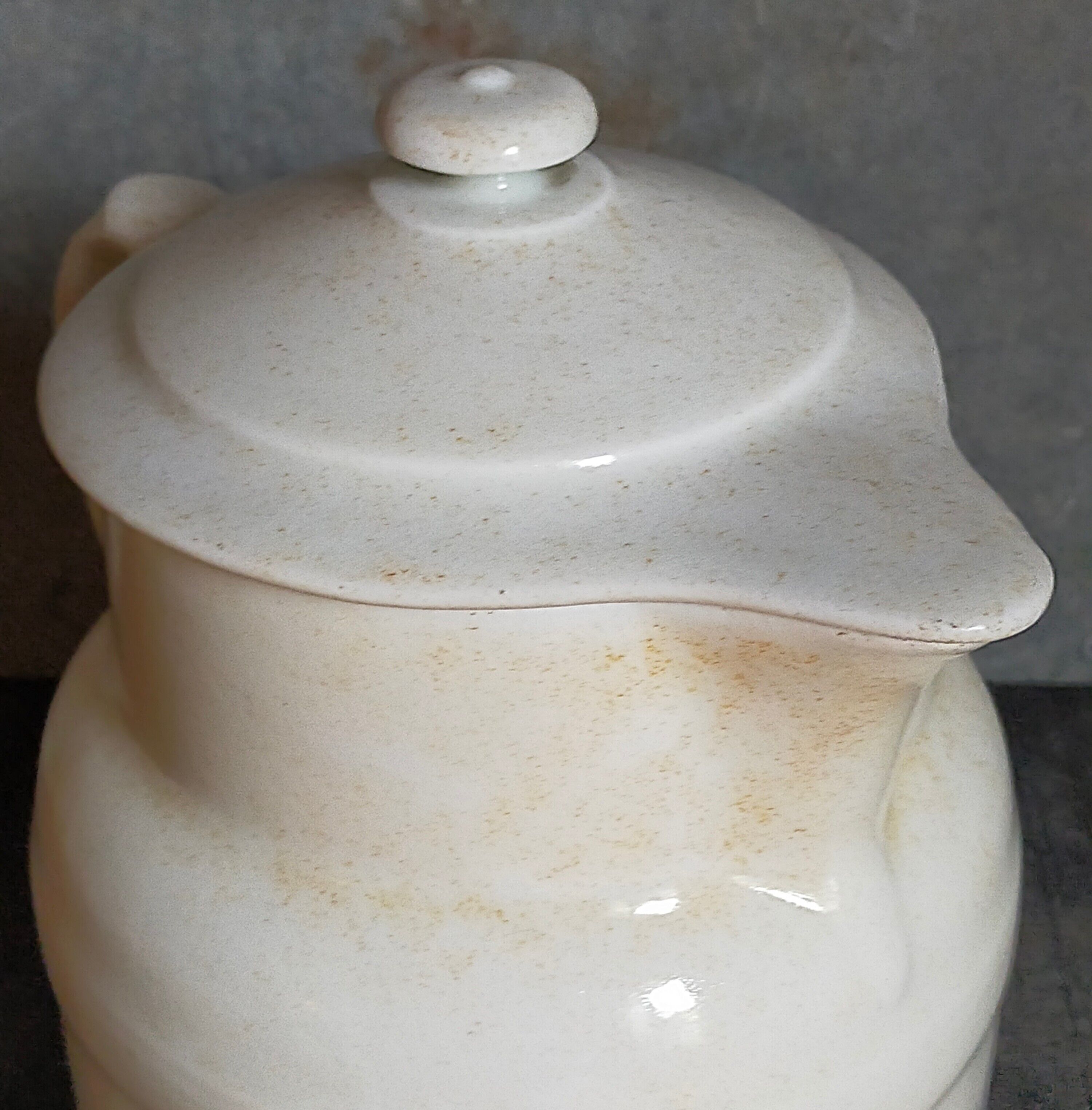 Covered pitcher in porcelain fire of Grigny XIXth stamped P.Precious