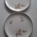 Gien plate